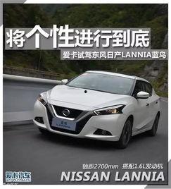 蓝鸟爆料博主视频下载,轻松获取热门内容